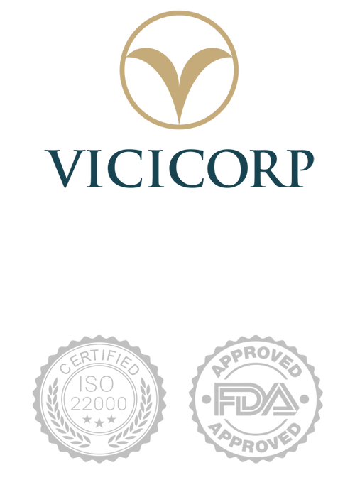 vicicorp-logo